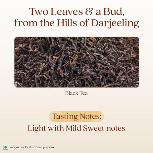 1868 By Tata Tea Darjeeling Rare Wonder Pyramid Tea Bags