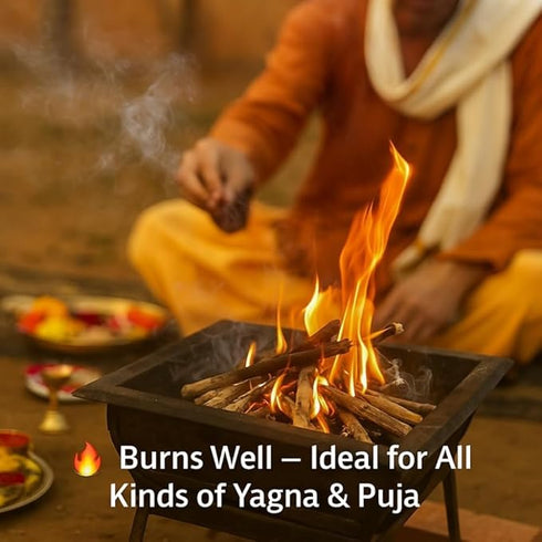 Khejri (Shami) Havan Samidha Sticks