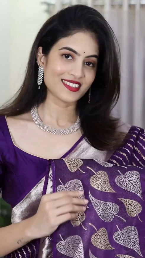 Vasthrlay Banarasi Saree