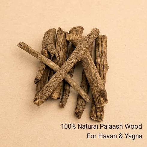 Palaash Havan Samidha Sticks Palas Ki Lakdi 450g