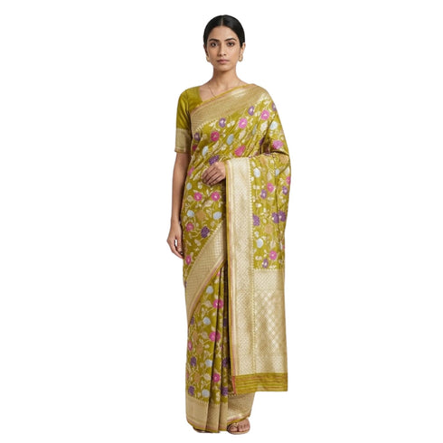 Vasthrlay Meenakari Banarasi Multicolour
