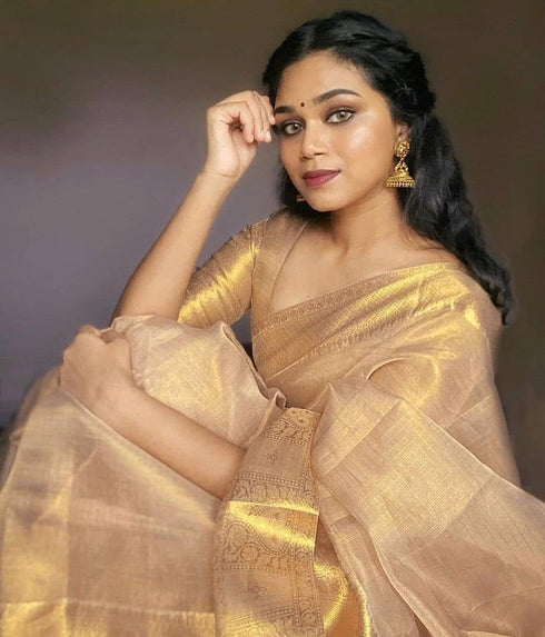 Vasthrlay Kanjivaram Organza Tissue Ethnic Wear
