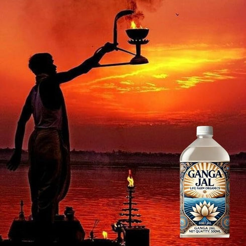 Prayagraj Mahakumbh Gangajal