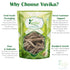 YUVIKA Akarkara Spl - Pellitory Root