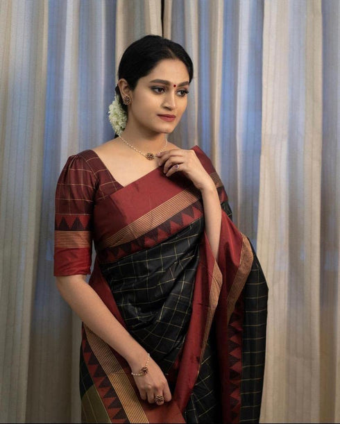Vasthrlay Banarasi Saree