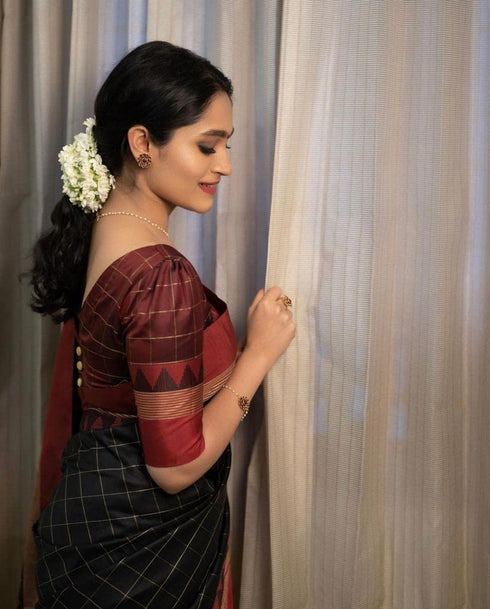 Vasthrlay Kanjivaram Saree