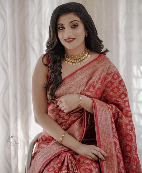 Vasthrlay Banarasi Border Saree