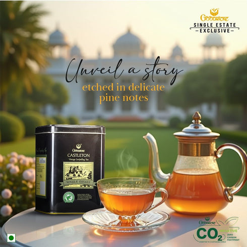 GOODRICKE Castleton Vintage Darjeeling Tea
