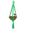 Jainsons Pet Products Bird Hanging Feeder