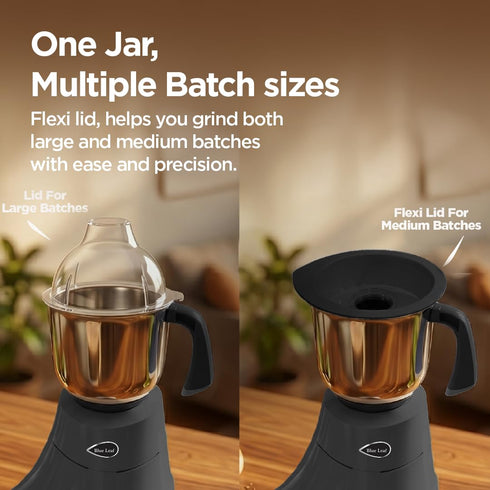 Preethi Diamond 750 Watts Mixer Grinder, 3 SS 304 Jars, Black