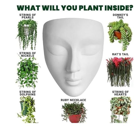 Generic Wall Mounted Face Planter Set| White