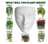 Generic Wall Mounted Face Planter Set| White