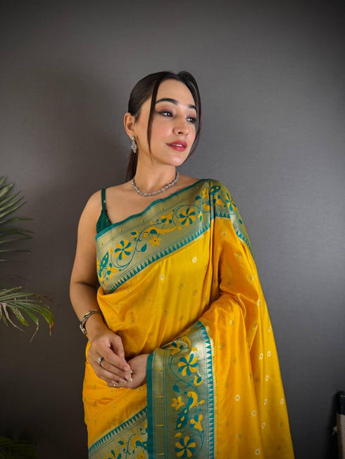 Vasthrlay Paithani Kanjivaram Beautiful