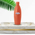 Mitticool Clay Water Bottle