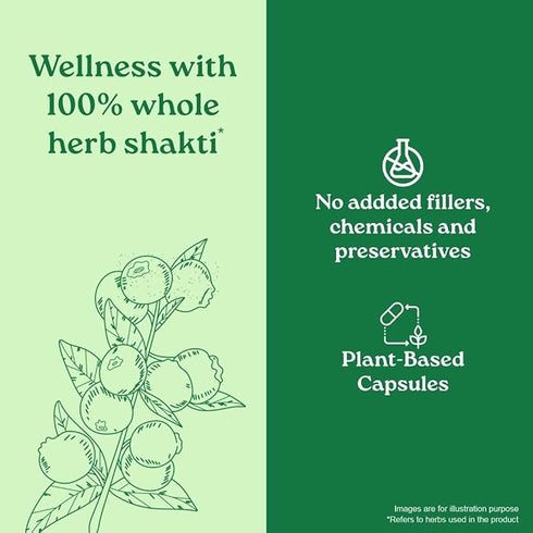 Organic India Garcinia Capsules