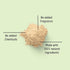 Havintha - Herbal Natural Hair Conditioners For Men And Women
