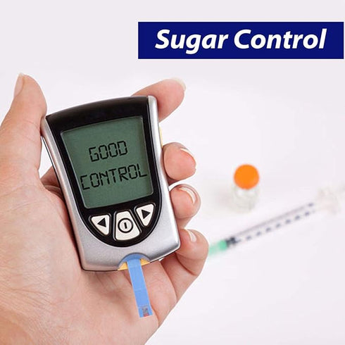 Diabexy Sugar Free Sweets Barfi Combo (Coconut, Kaju & Dark Chocolate)