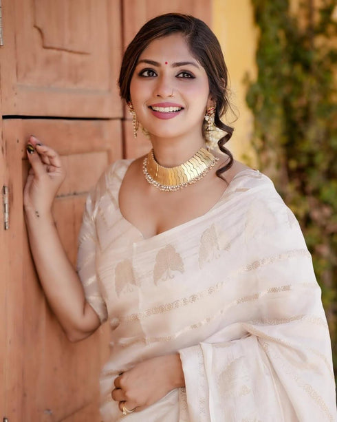 Vasthrlay Kanjivaram Saree
