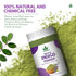 Havintha - Organic Indigo Powder Jar - For Black Hair