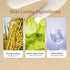 Vilvah Store Milk Drops Brightening Serum