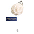 Peluche A Sombre Retreat Off White Brooch for Men