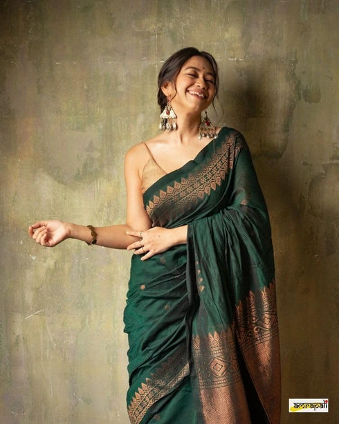 Vasthrlay Banarasi Unstitched Saree