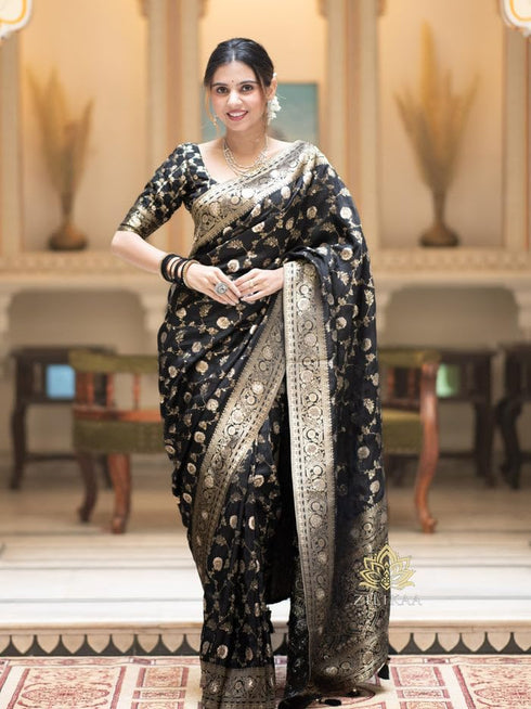 Vasthrlay Banarasi Kanjivaram Wedding Pari 165 Saree With Blouse Piece