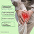Organic India Osteoseal Capsule bottle