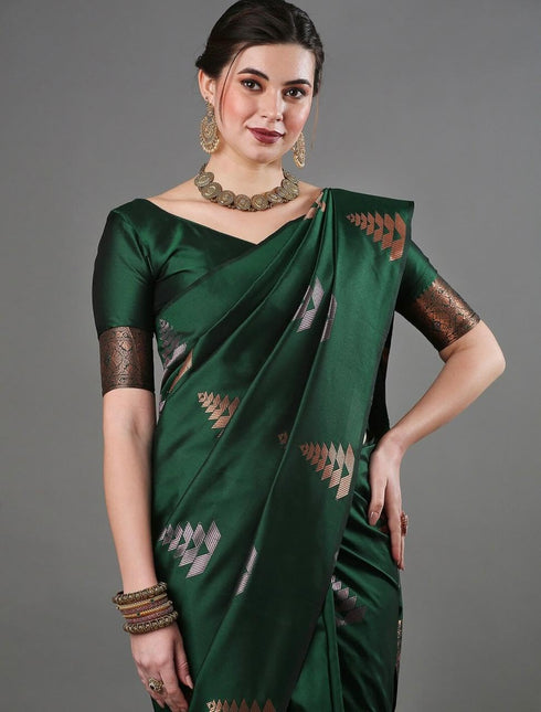 Vasthrlay Banarasi Saree