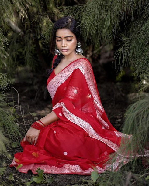 Vasthrlay Banarasi Lightweight Traditional Occasions
