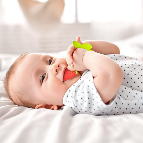 Dkb Fruit Feeder Pacifier With Rattle 1 Pcs With 1 Pcs