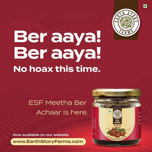 Earth Story Farms Meetha Ber Pickle