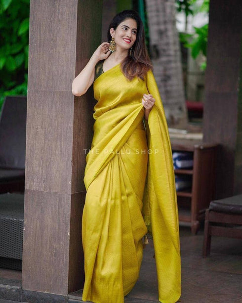 Vasthrlay Kanjivaram Saree