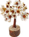 Pushkar Rudraksha Gomti Chakra Tree