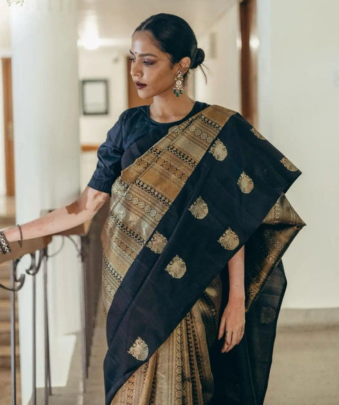 Vasthrlay Kanjivaram Saree