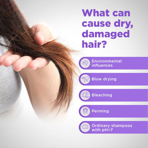 Sebamed Hair Repair Shampoo