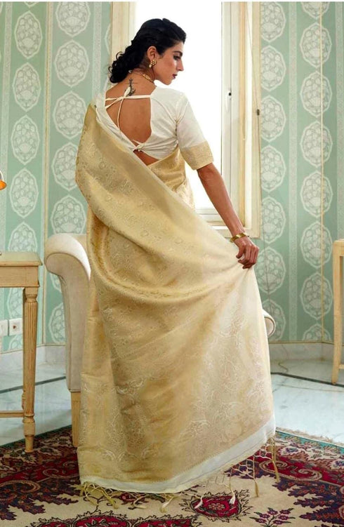 Vasthrlay Handwoven Saree