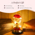 Wishpitara Valentines Day Artificial Rose Flower Light Gift in Glass Dome with Teddy