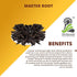 Herbaveda- Master Root 100g