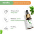 Naturalis Essence of Nature Camphor Essential Oil