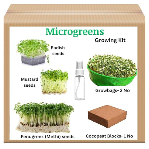 Seed Basket Complete Microgreens Growing Diy Kit