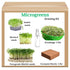 Seed Basket Complete Microgreens Growing Diy Kit