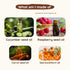 ROOT and SOIL Sunscreen For All Skin Types For Babies