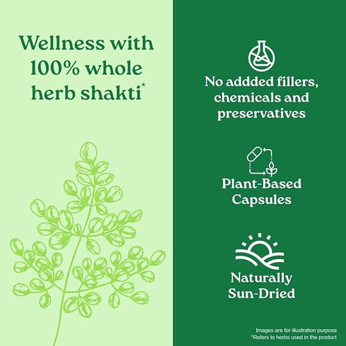 Organic India Moringa 60 Capsules