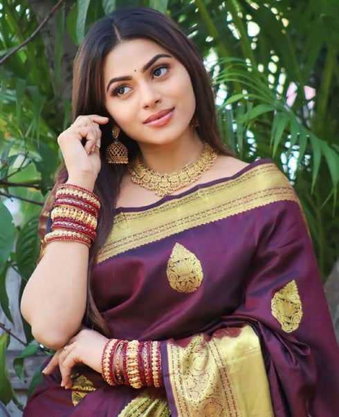 Vasthrlay Banarasi Saree