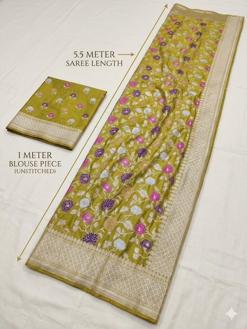 Vasthrlay Meenakari Banarasi Multicolour