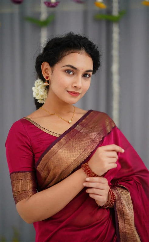 Vasthrlay Traditional Unstitched Saree