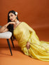Vasthrlay Chiffon Saree