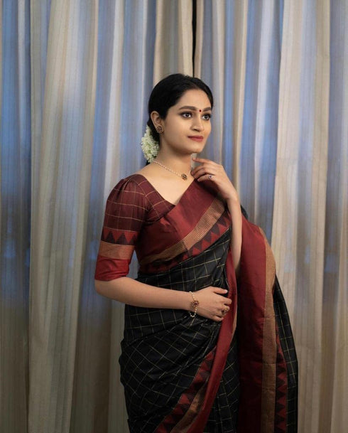 Vasthrlay Banarasi Saree