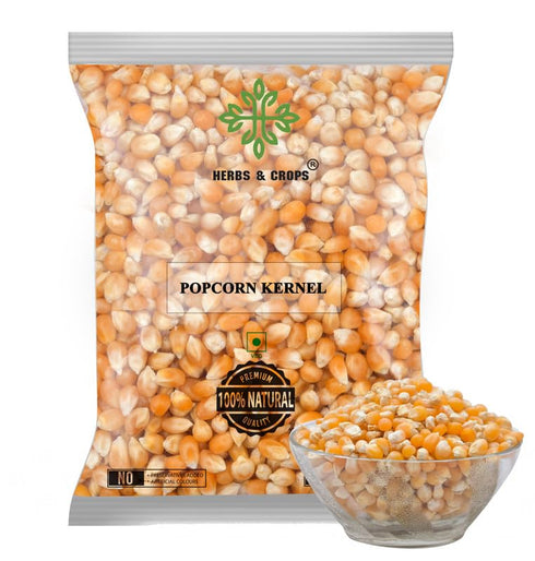 Herbs and Crops Super Popcorn Kernels